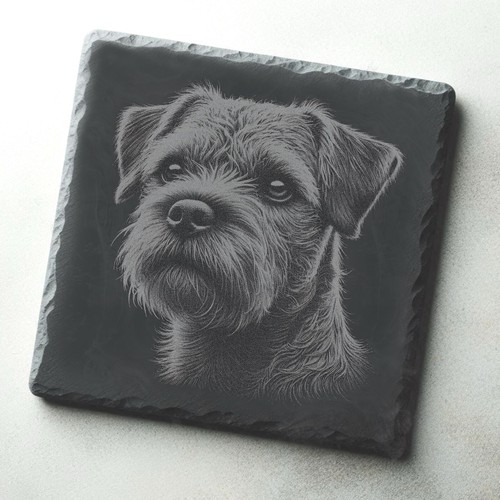 Border terrier dog - border, engraved