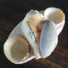 Vintage Antique Shell Pin Cushion Kansas Bonner Springs 4.5" Sewing Quilting 