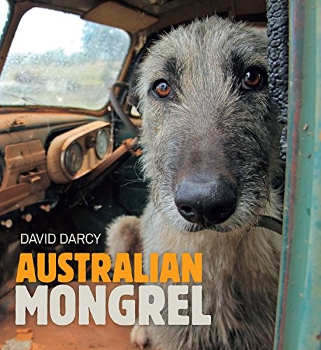 Australian mongrel david darcy - australian, mongrel-david