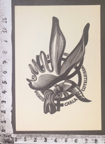 Wunderkammer exlibris 790 - exlibris,