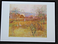 Charles Condor "The Farm"