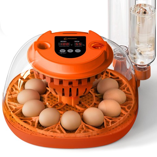 Egg incubator with - incubator,