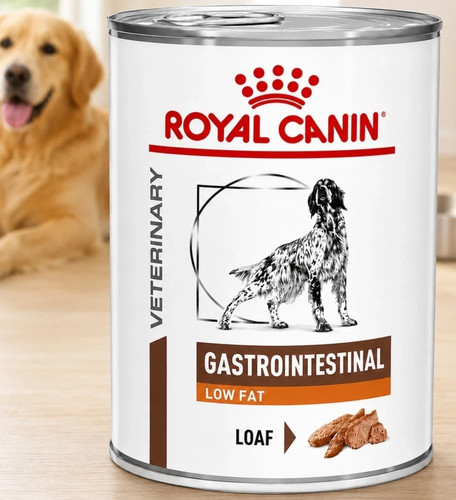 Royal canin gastro intestinal - royal, gastro-intestinal