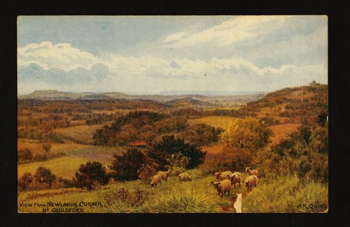 Old postcard view from - old, postcard: