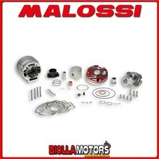 3115349 THERMAL GROUP MALOSSI