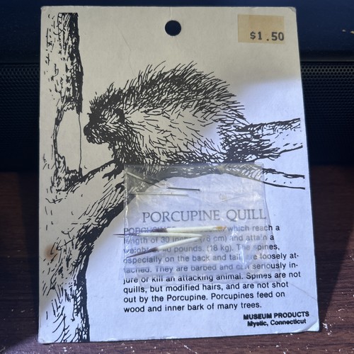 Vintage porcupine quills - vintage,