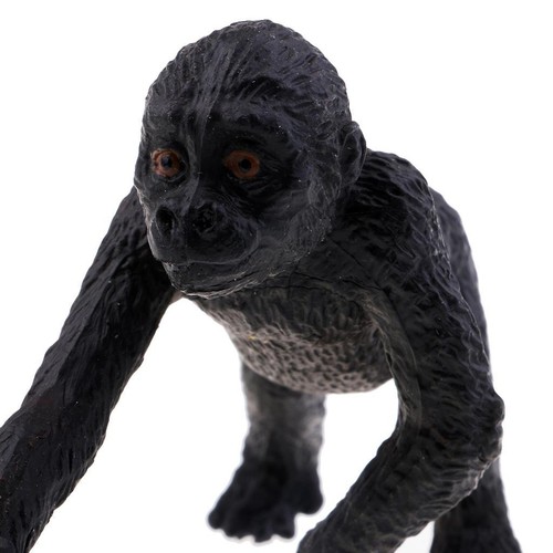 Wildlife animals action - animals,