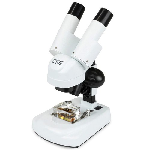 Celestron labs s20 - labs, angled
