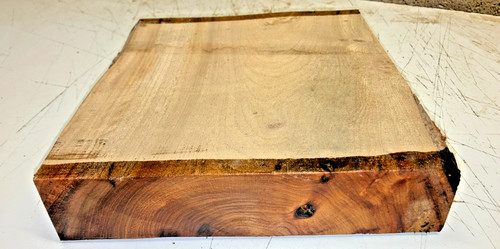 230x230x50mm lot 903a elm - 230x230x50mm,