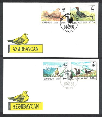 Birds caucasian black grouse - birds,