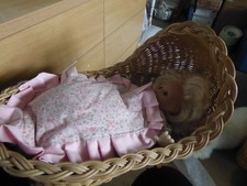 Gorgeous  dolls wicker rocking