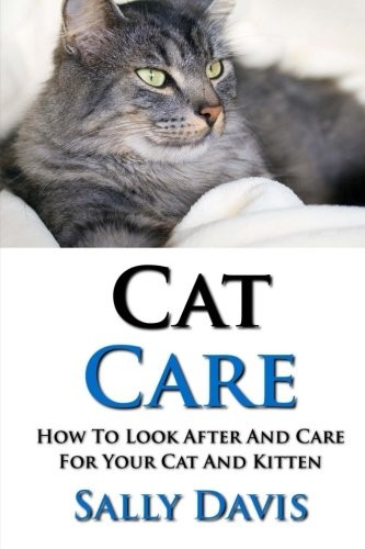 Cat care how look - care:, to