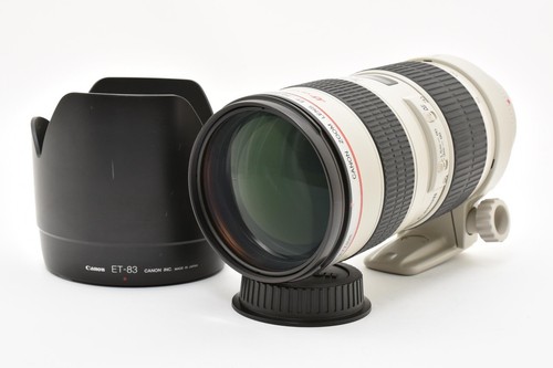 Canon 200mm f - 70-200mm, f/2.8