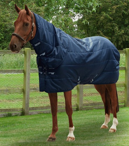 Premier equine stratus stable - equine,