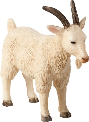Animal planet mojo billy - mojo,