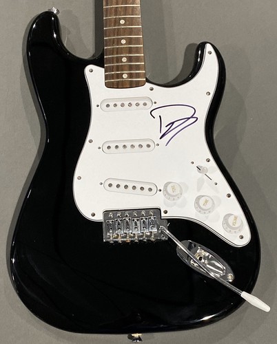 Nirvana signed guitar - signed, foo