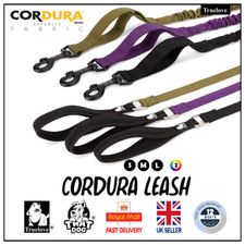 Bungee Dog Lead Truelove