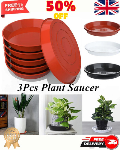 Plant pot saucers - plant,