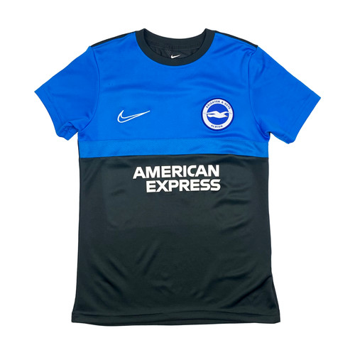 Brighton hove albion - hove,