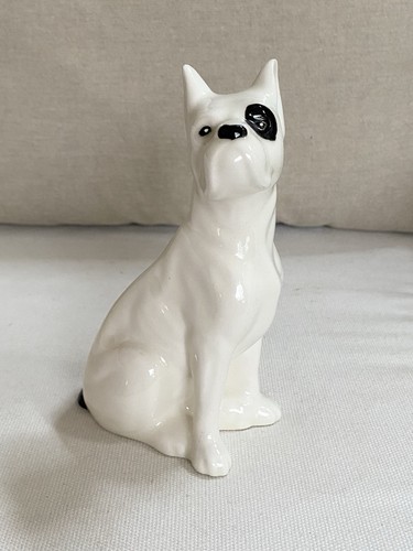 Vintage white boxer dog - vintage,