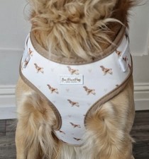 dog harness and lead set with