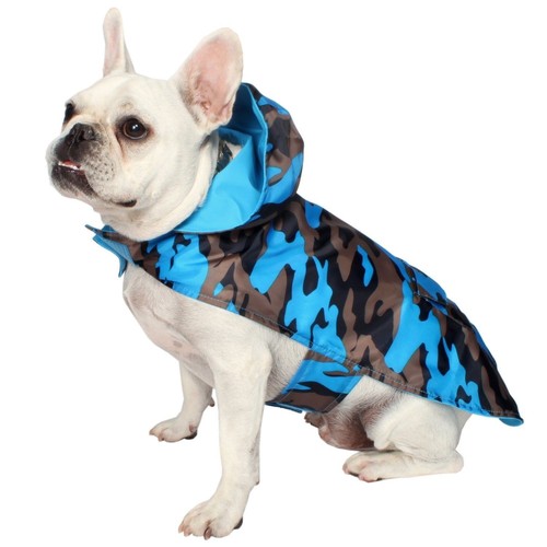 Reversible dog pet - dog,