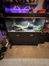 Complete Bearded Dragon Set Up - Vivexotic/microclimate/arcadia LuminaPRO