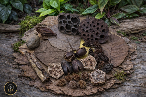 Aquarium botanicals alder - botanicals,