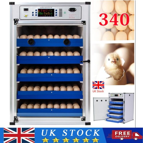 Automatic digital 340 eggs - digital,