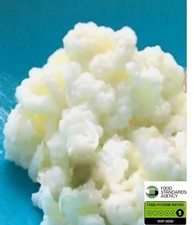 10gms Kefir Grains, 1st class
