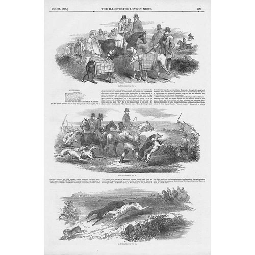 Hare coursing victorian - hare,