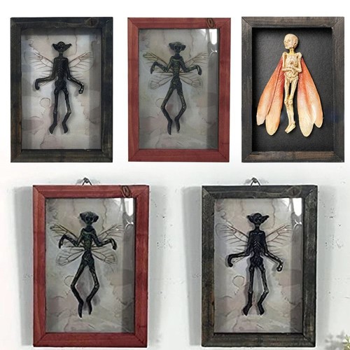 Oddities and curiosities - oddities, fairy