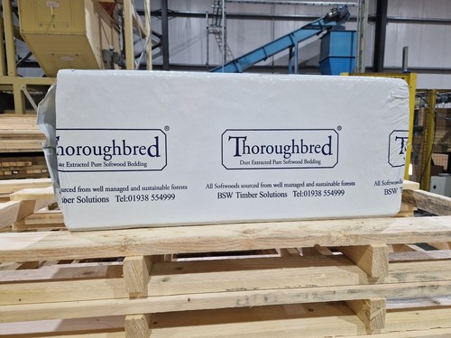 Thoroughbred shavings - thoroughbred,