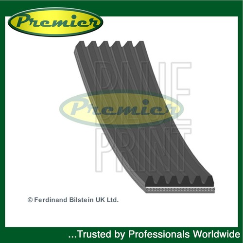 Premier alternator belt fits - alternator,