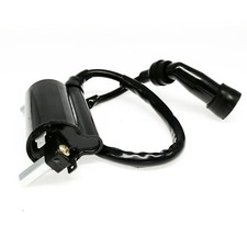 Ignition coil with spark plug
