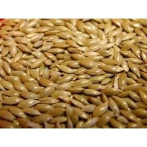 Versele laga plain canary - canary, seed