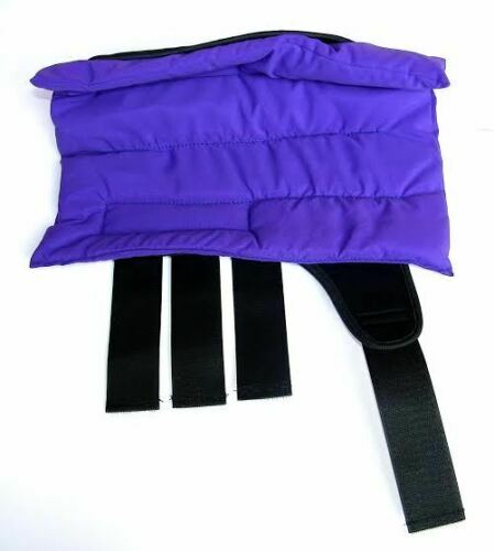 Horse stable boots - horse, wraps