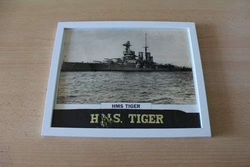 Tiger framed cap tally - ,