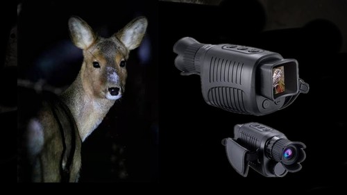 Digital night vision - vision, monocular