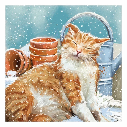 Christmas cards cats - christmas,