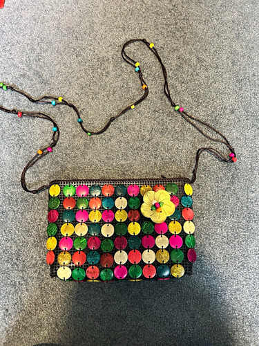 Multicolour coconut shell bag