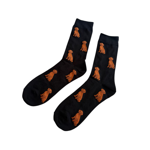 Fox red labrador - fox,