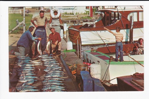 Good days catch - good,
