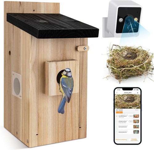 Smart bird house with camera - smart,