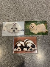 Shitzu Fridge Magnets Set Of 3