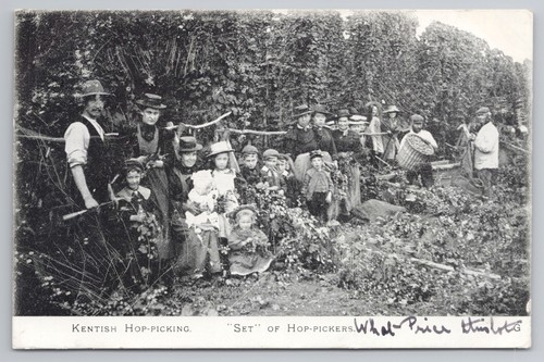 Postcard antique kentish hop - postcard,