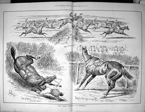 Old 1883 grand national horse - old,