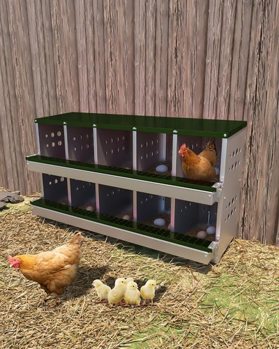 Hole chicken nesting box - chicken,