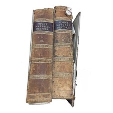 Victorian Wood's Natural History 2 Volume Set - Illustrated Hardback Books