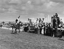 1977 RED RUM TOMMY STACK GRAND